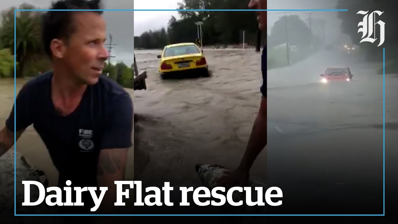 Auckland firefighters use boat to save multiple people in trapped cars