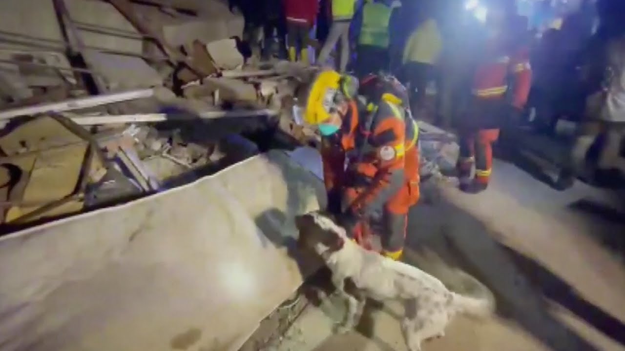 Hong Kong Rescuers Search For Quake Survivors In Türkiye The Global Herald Hong Kong Rescuers Search For Quake Survivors In Türkiye The Global Herald
