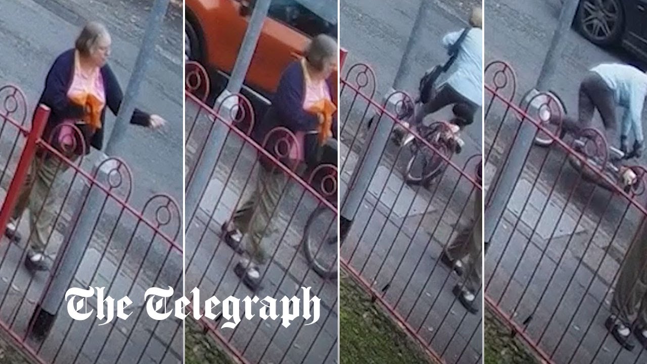 Moment pedestrian swears at a cyclist before she's hit and killed by a ...