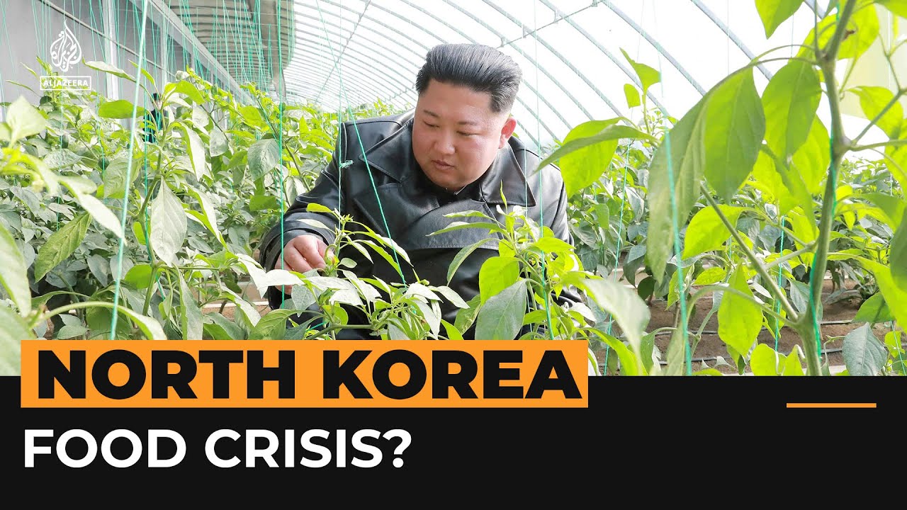 What we know about North Korea’s food shortages Al Jazeera Newsfeed