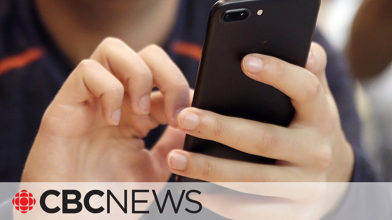 Family Warns Of Artificial Intelligence Scam The Global Herald