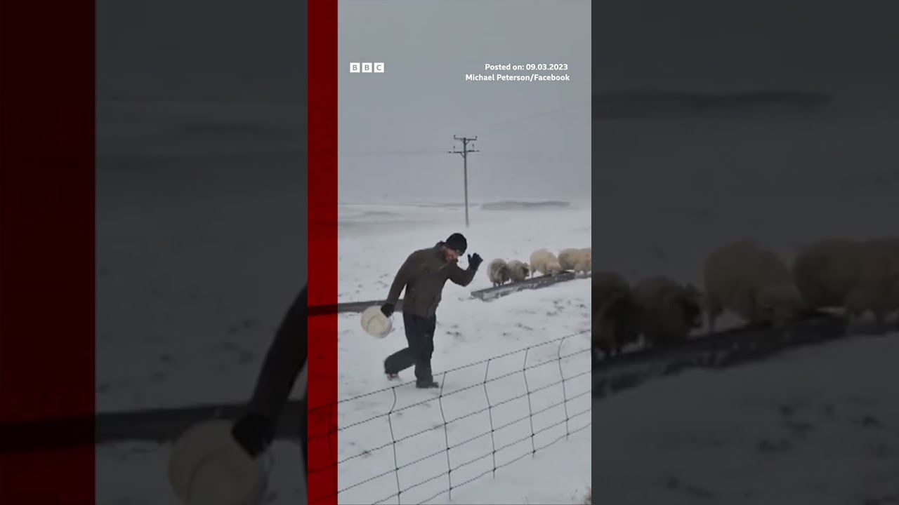 ‘Snownado’: Rare snow tornado spotted in Scotland. #Shorts #Scotland #