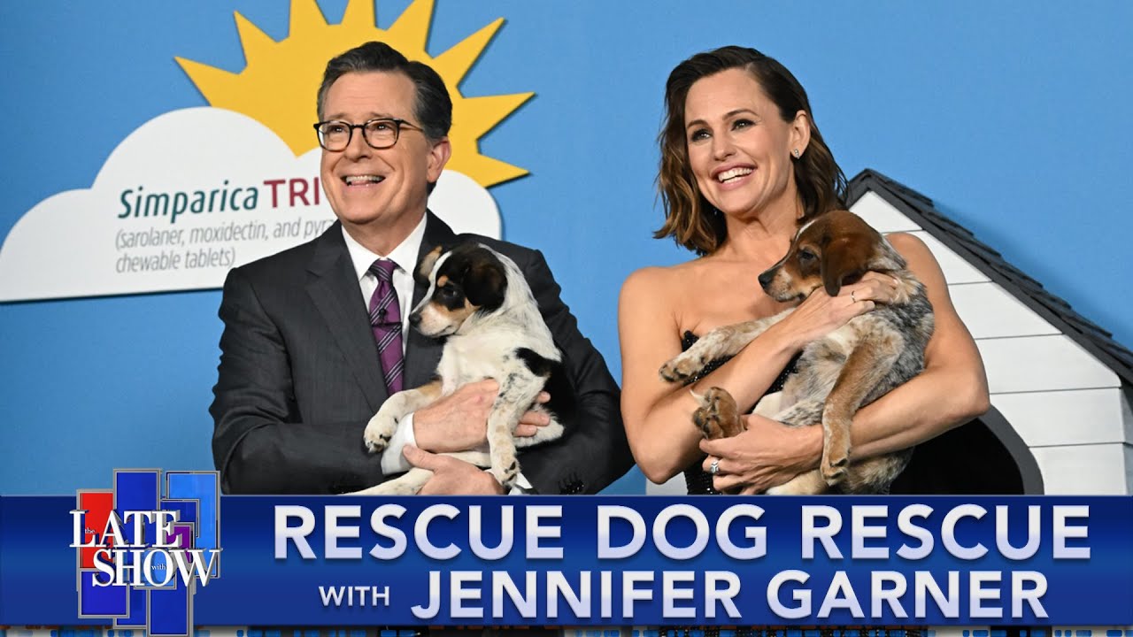 Rescue Dog Rescue with Jennifer Garner The Global Herald