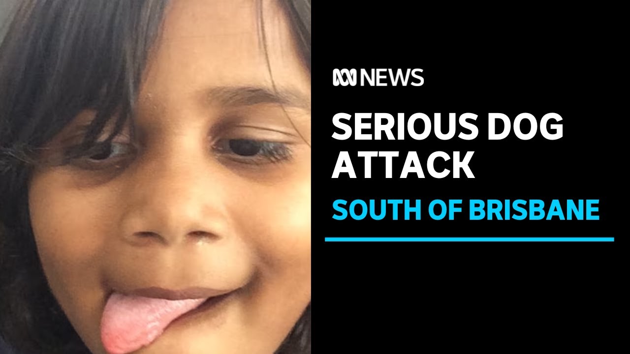 Young girl in serious condition after dog attack south of Brisbane