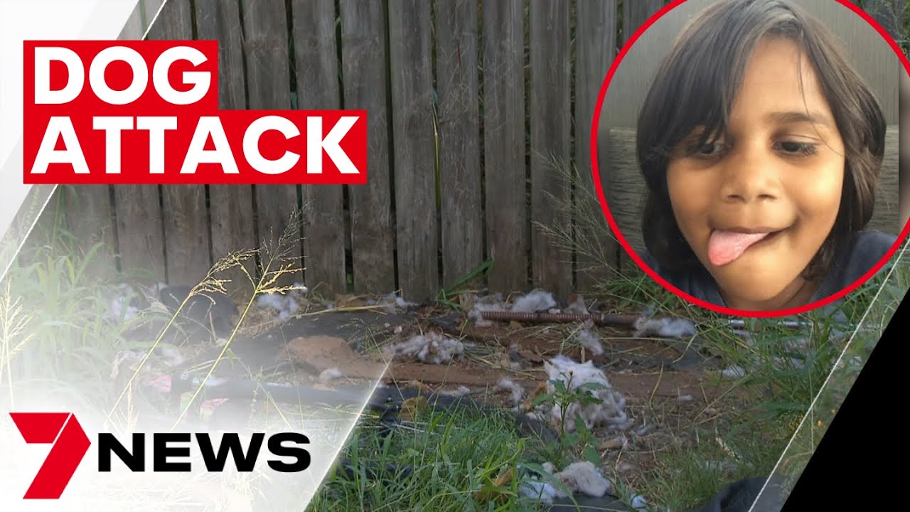 Six-year-old girl Laquarna Chapman Palmer in hospital after vicious dog ...