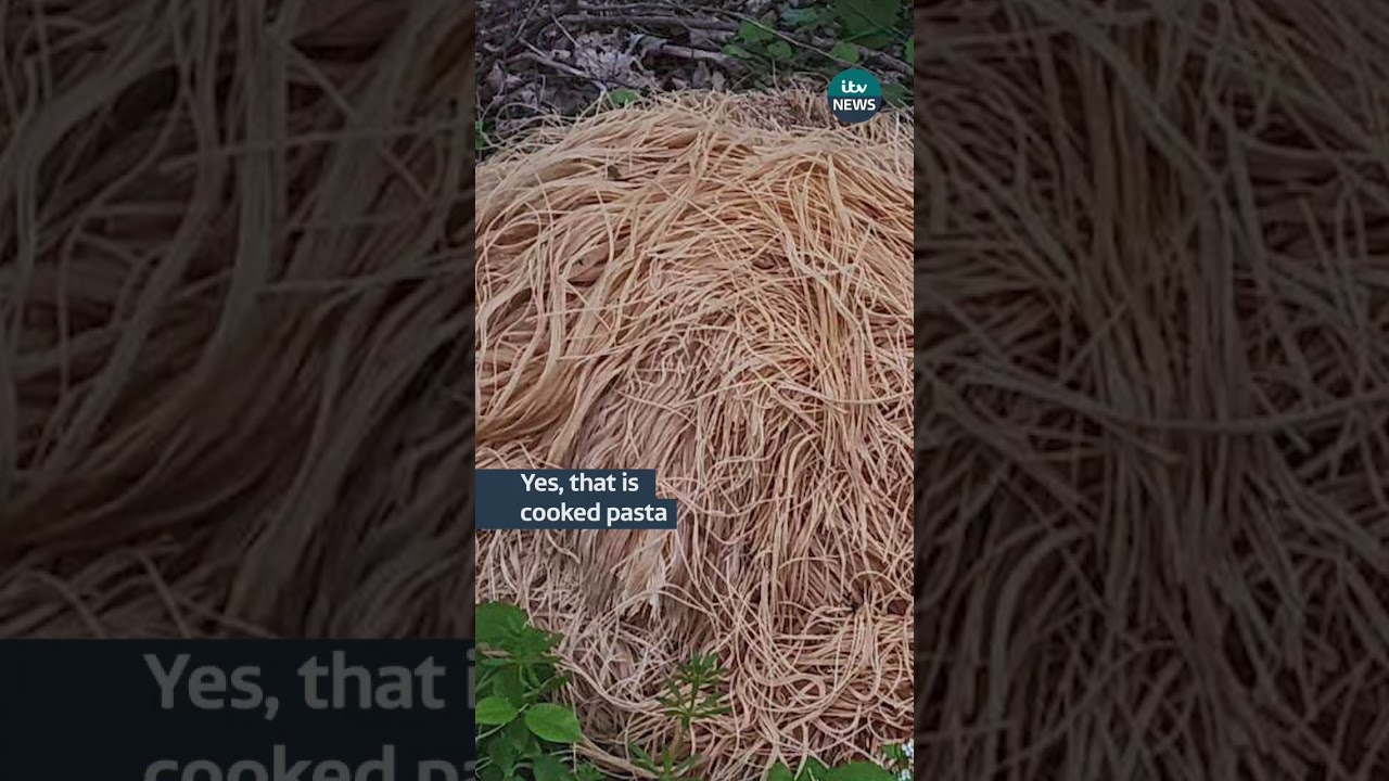 Mysterious piles of pasta found in forest itvnews pasta The Global Herald