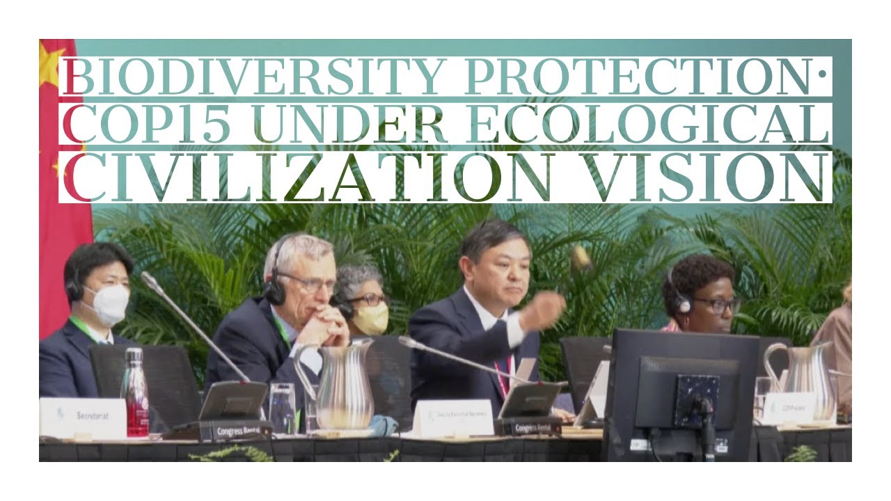 Historic COP15 agreement reached under ecological civilization vision ...