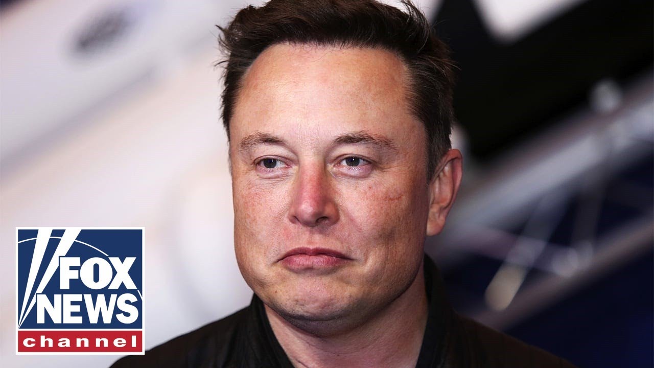 Emily Compagno sounds off on criticism of Elon Musk: ‘This is the woke mob’