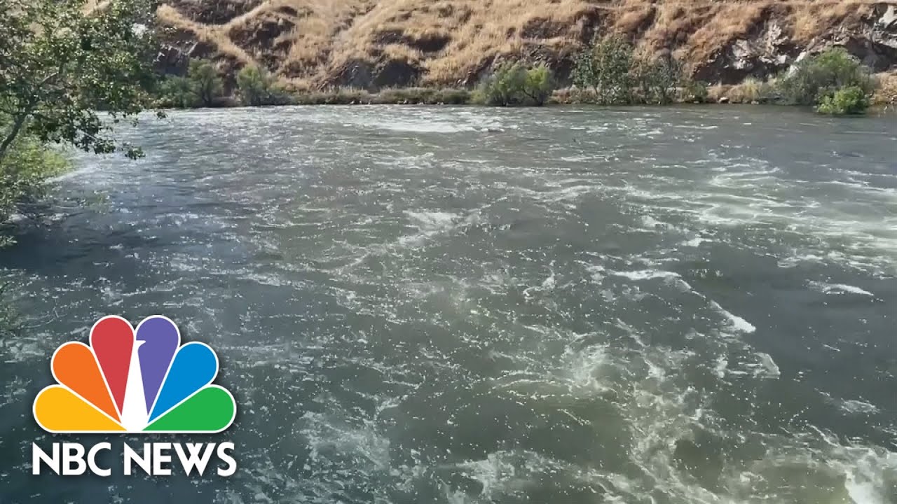 One child dead, one missing after falling into California river - The ...