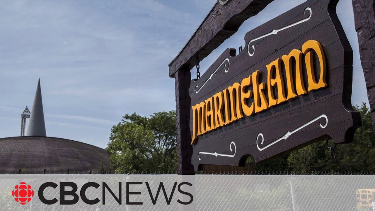 Beluga whale, dolphin die at Marineland - The Global Herald