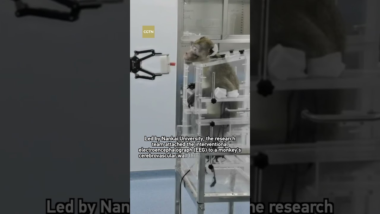 World's first: China completes interventional BCI experiment on non ...