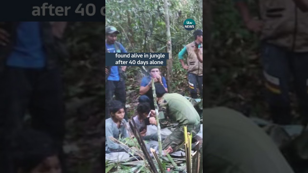 Four kids survive 40 days in jungle after plane crash #itvnews # ...