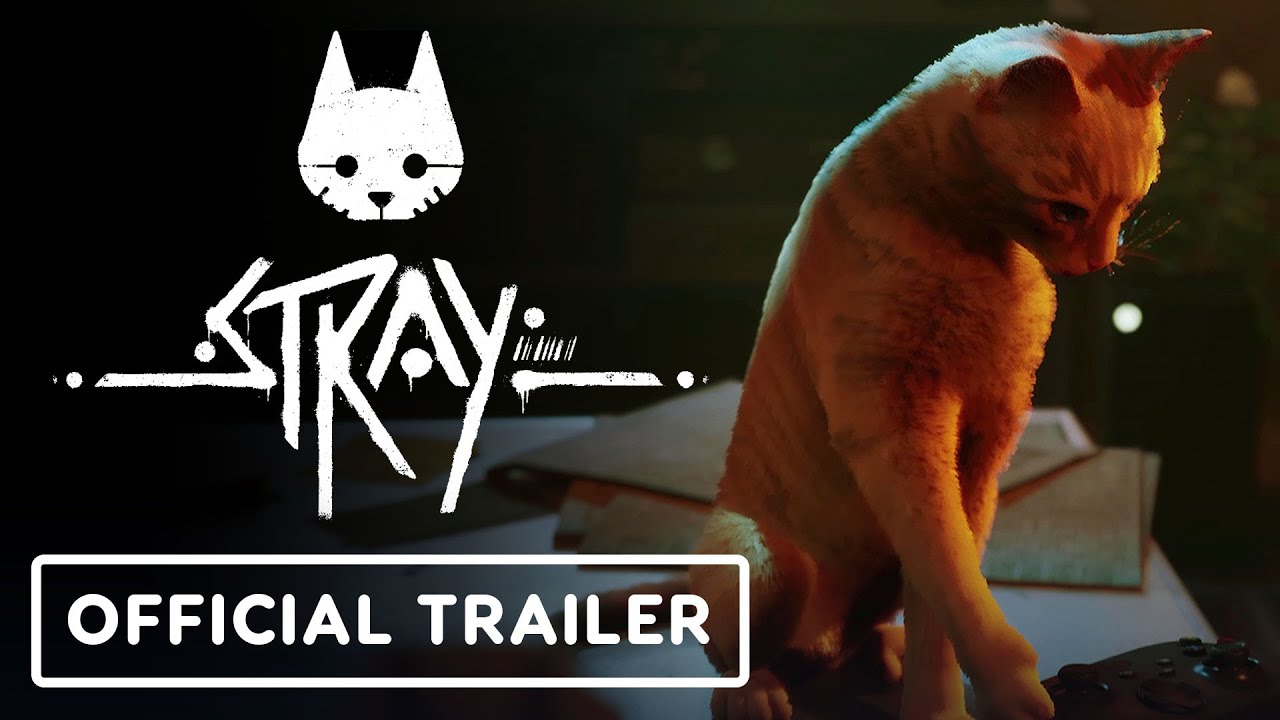 Stray - Official Xbox Release Date Trailer | Annapurna Interactive ...