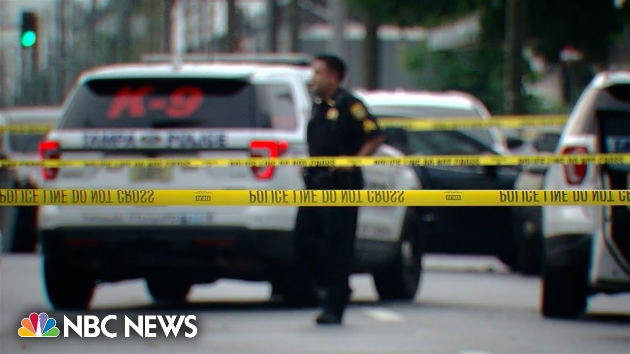Armed stabbing suspect killed by Tampa police in shooting - The Global ...