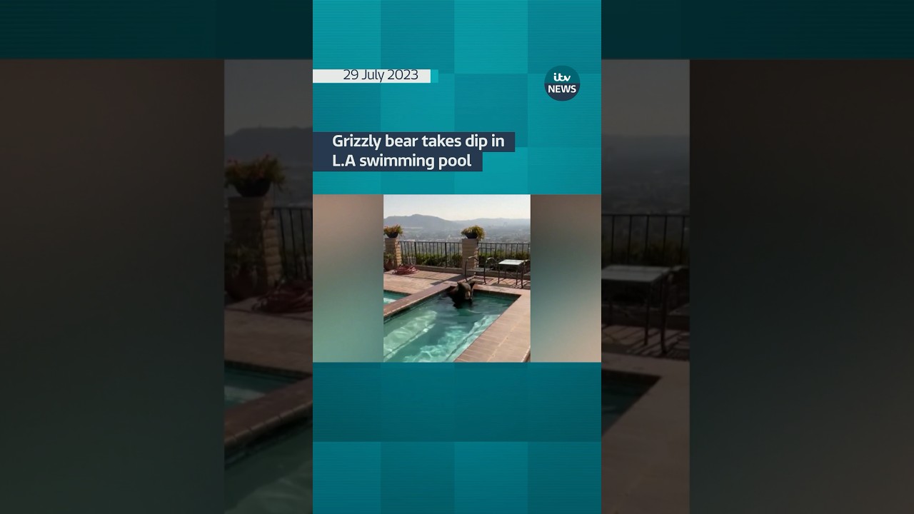 Who is the ‘French Andrew Tate’? #itvnews #news - The Global Herald