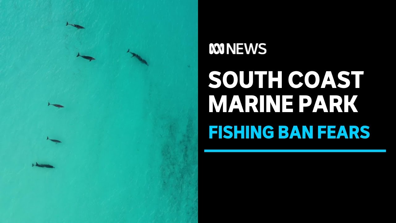 Growing fears over the planned introduction of nofish zones in a new