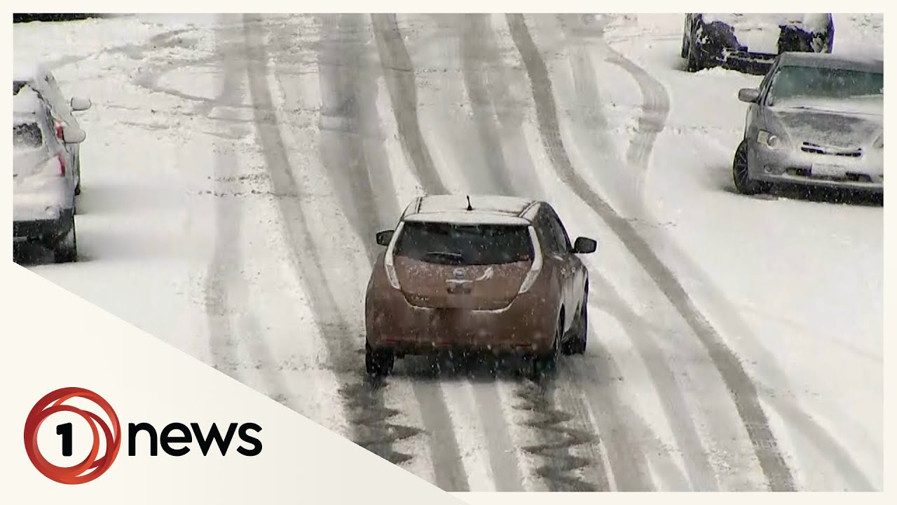 Why eating too much grass is not a good thing for horses! The Global Herald