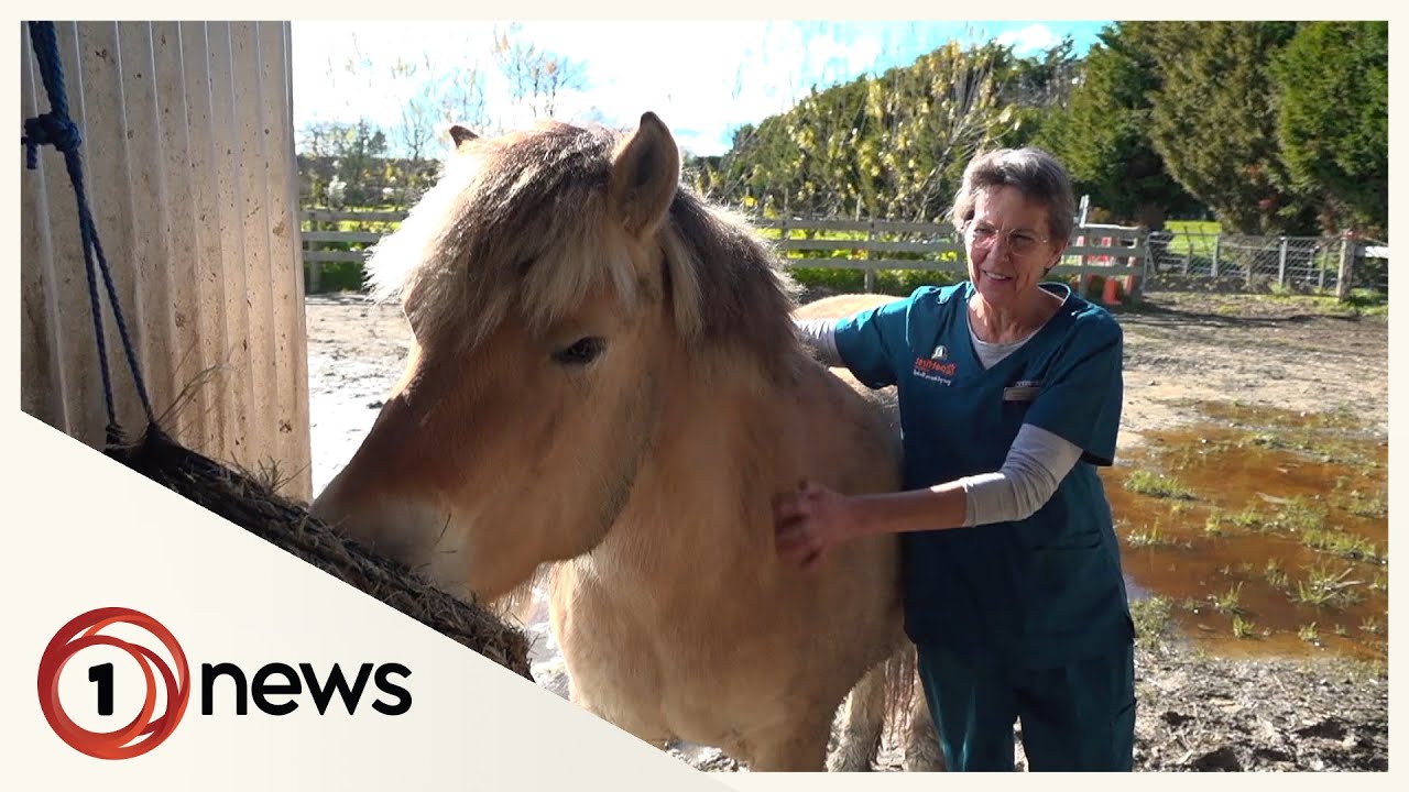 Hawke’s Bay residents remain in limbo over Cyclone Gabrielle insurance pay-outs