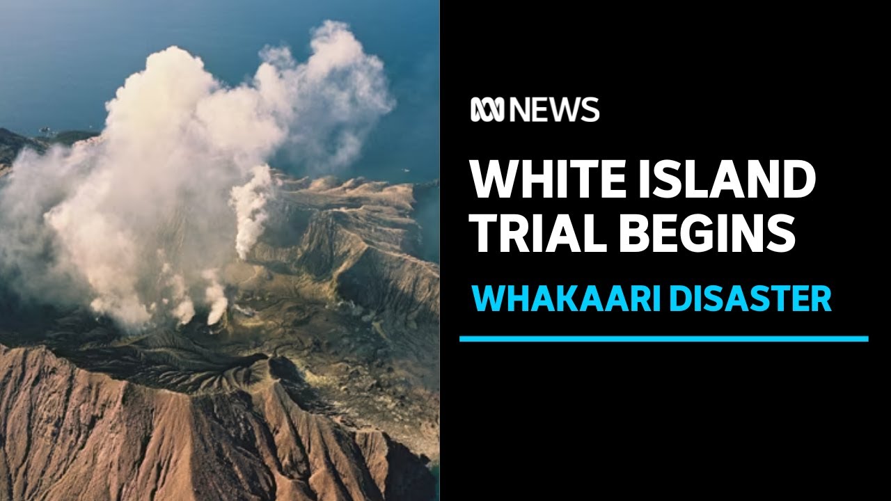Whakaari eruption: Risk assessment allegedly 'did not happen', court hears
