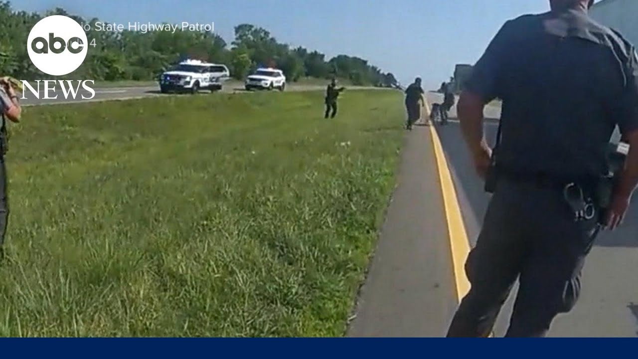 Police K9 attack victim speaks out The Global Herald