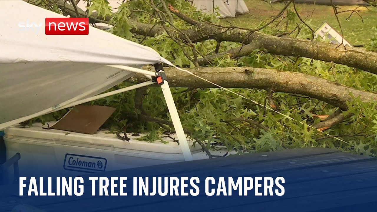 Falling tree injures three campers in Indiana The Global Herald