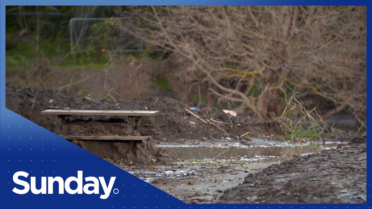 Why eating too much grass is not a good thing for horses! The Global Herald