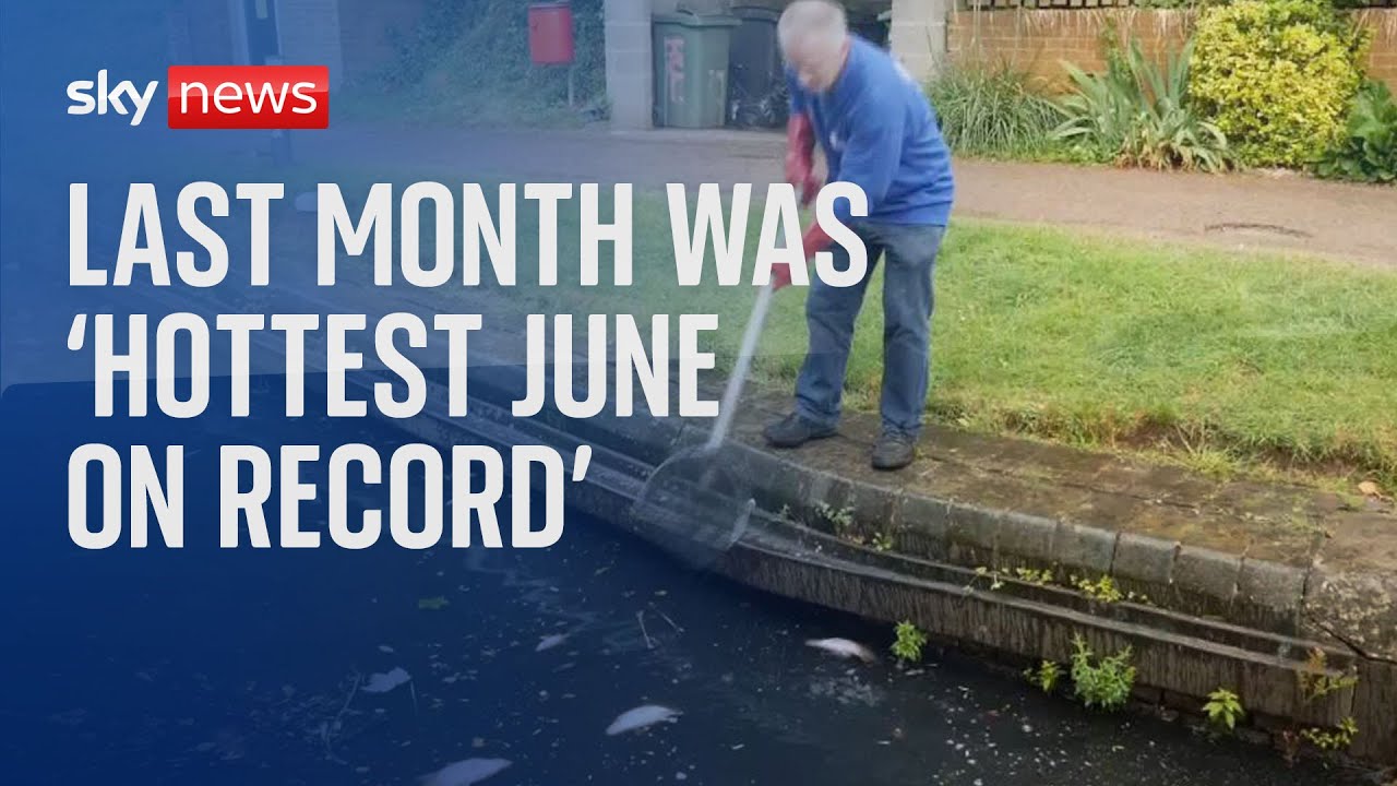 Fears for fish as last month confirmed as hottest June on record - The ...