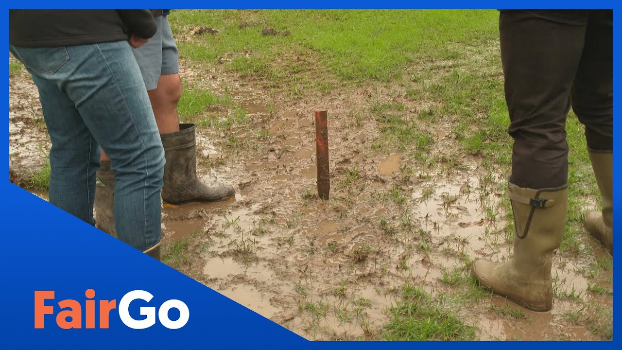 Flooded couple find Fair Go fix with Watercare