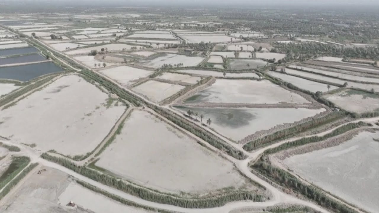 Baghdad's temperature reaches 50 C The Global Herald