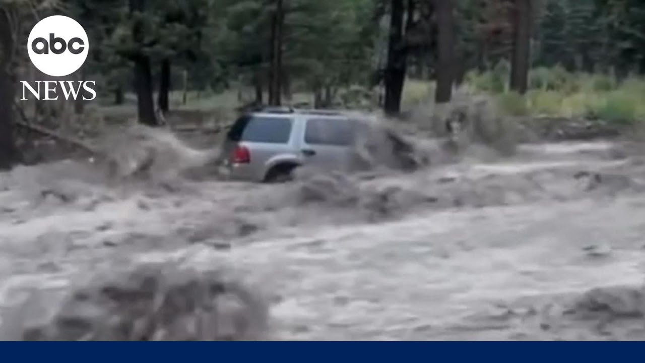 Record Rain Wreaks Havoc The Global Herald Record Rain Wreaks Havoc The Global Herald