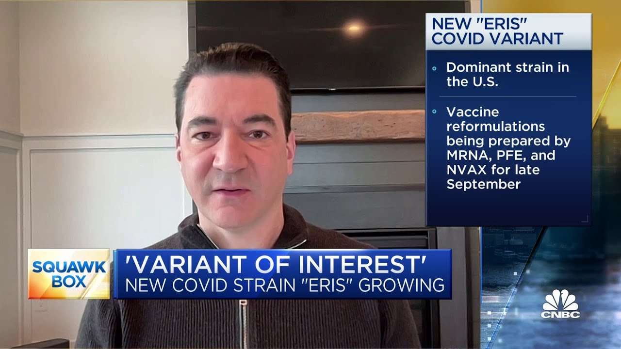 Eris Variant Cvoid Dr. Scott Gottlieb: Nothing suggests new 'Eris' Covid variant is more ...