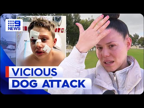 It looked like a murder scene:' Boy attacked by dog in Perth | 9 News ...