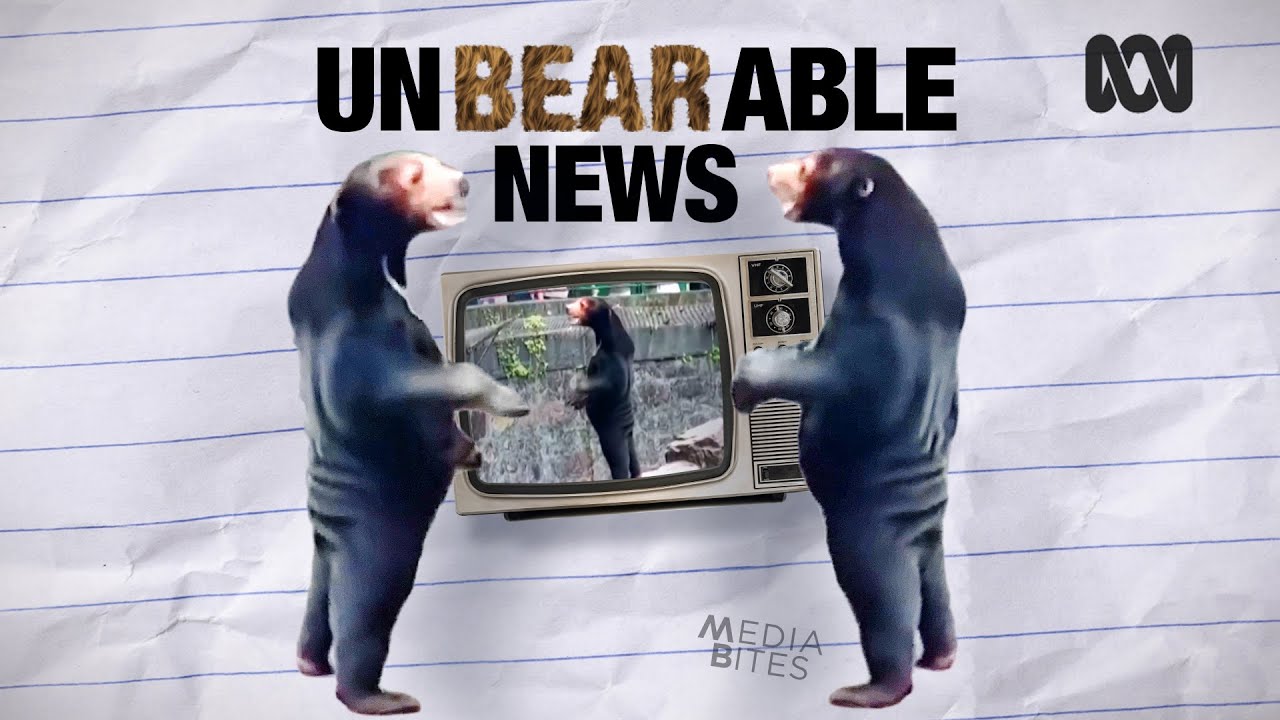 Man or bear? Unbearable media speculation over China zoo footage