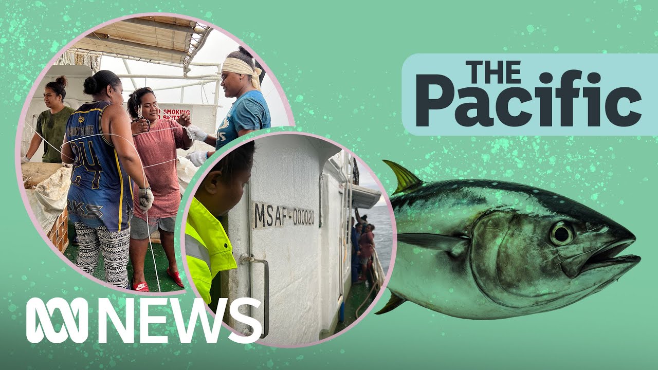 Fiji’s first allfemale tuna fishing crew The Pacific ABC News