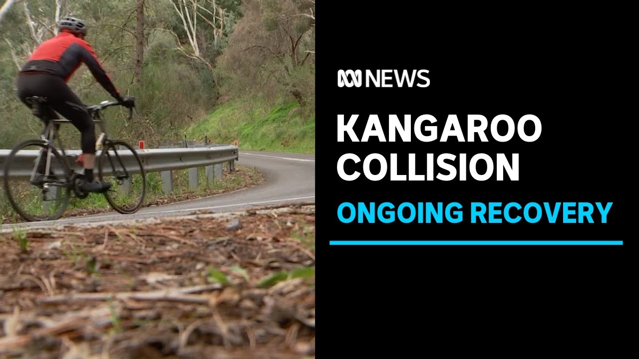 Cyclist killed in horrific crash with truck at Coromandel Valley ...