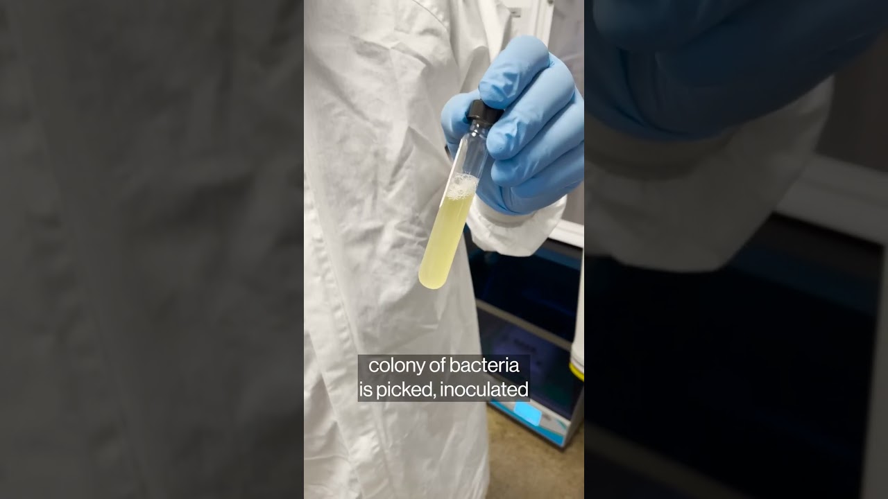 Halle Berry backs the world’s first anaerobic bacteria factory - The ...