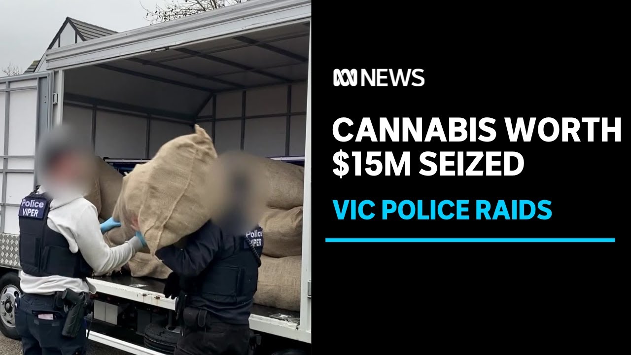 Victoria police seize more than a tonne of cannabis during raids | ABC ...