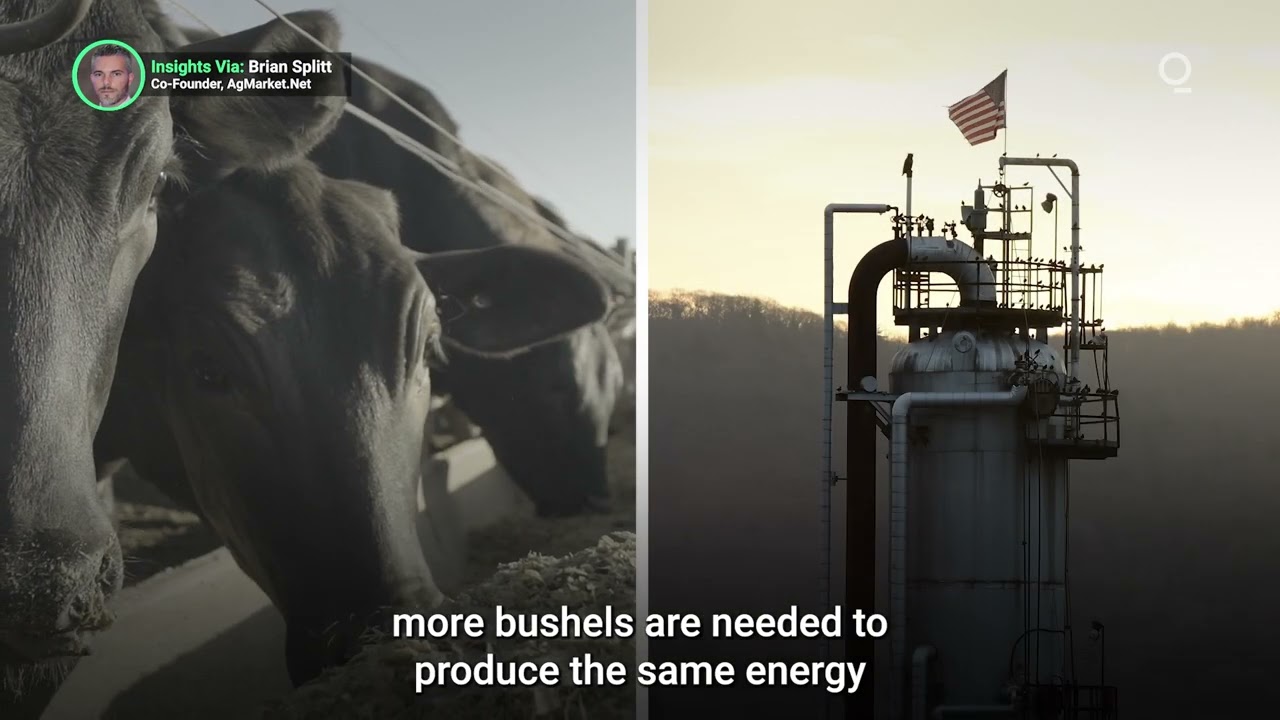 Us Corn And Soybean Farmers Battle Drought Conditions The Global Herald