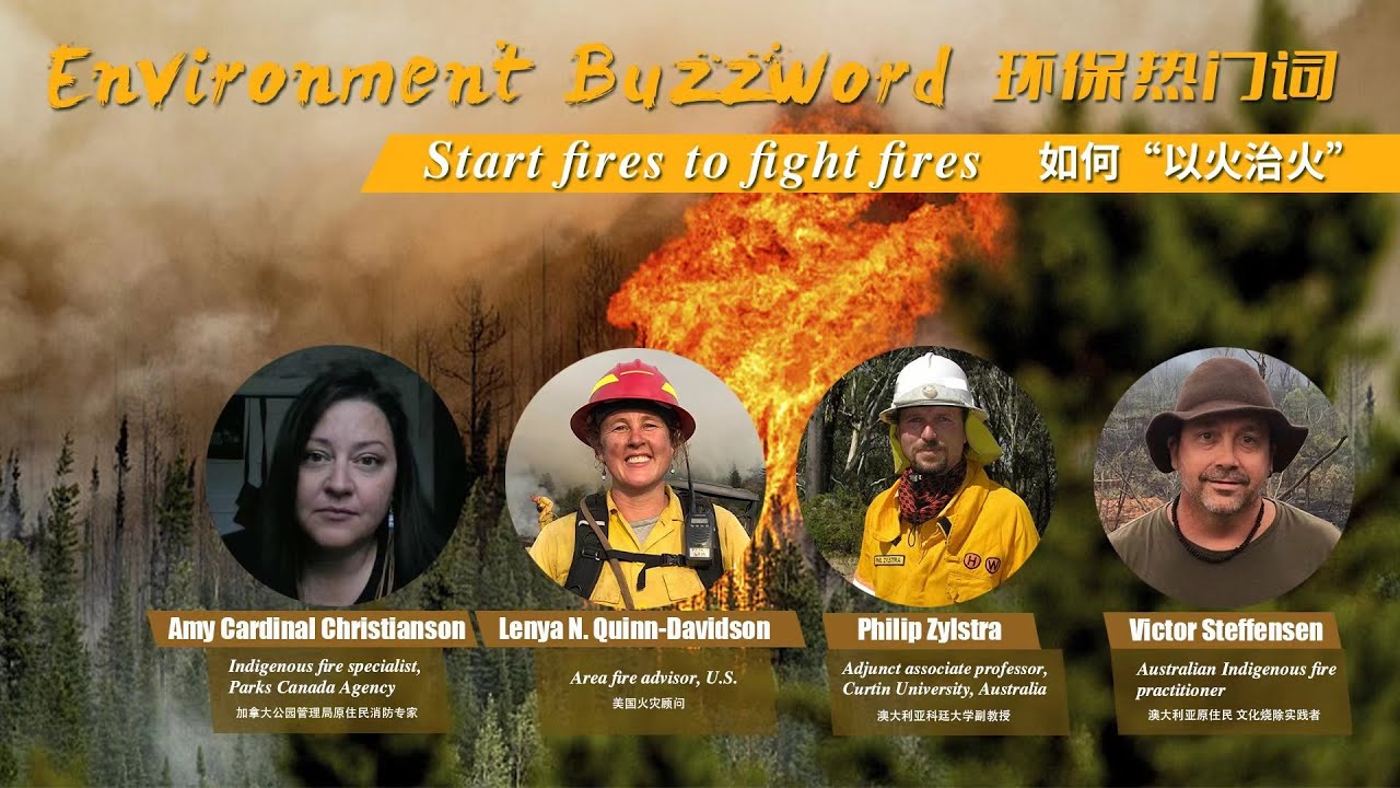 Environment Buzzword Start Fires To Fight Fires Part 2 The Global Herald