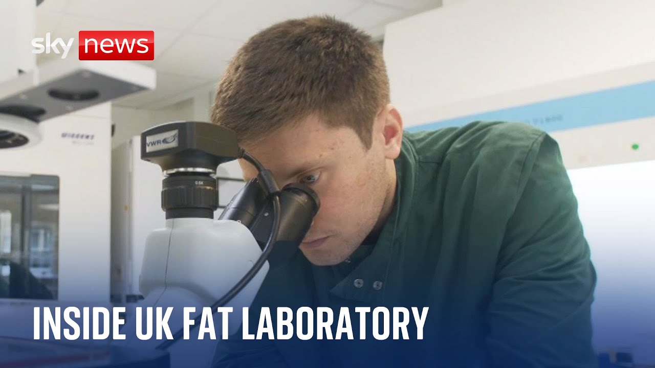 Inside the UK's first cultivated fat laboratory The Global Herald
