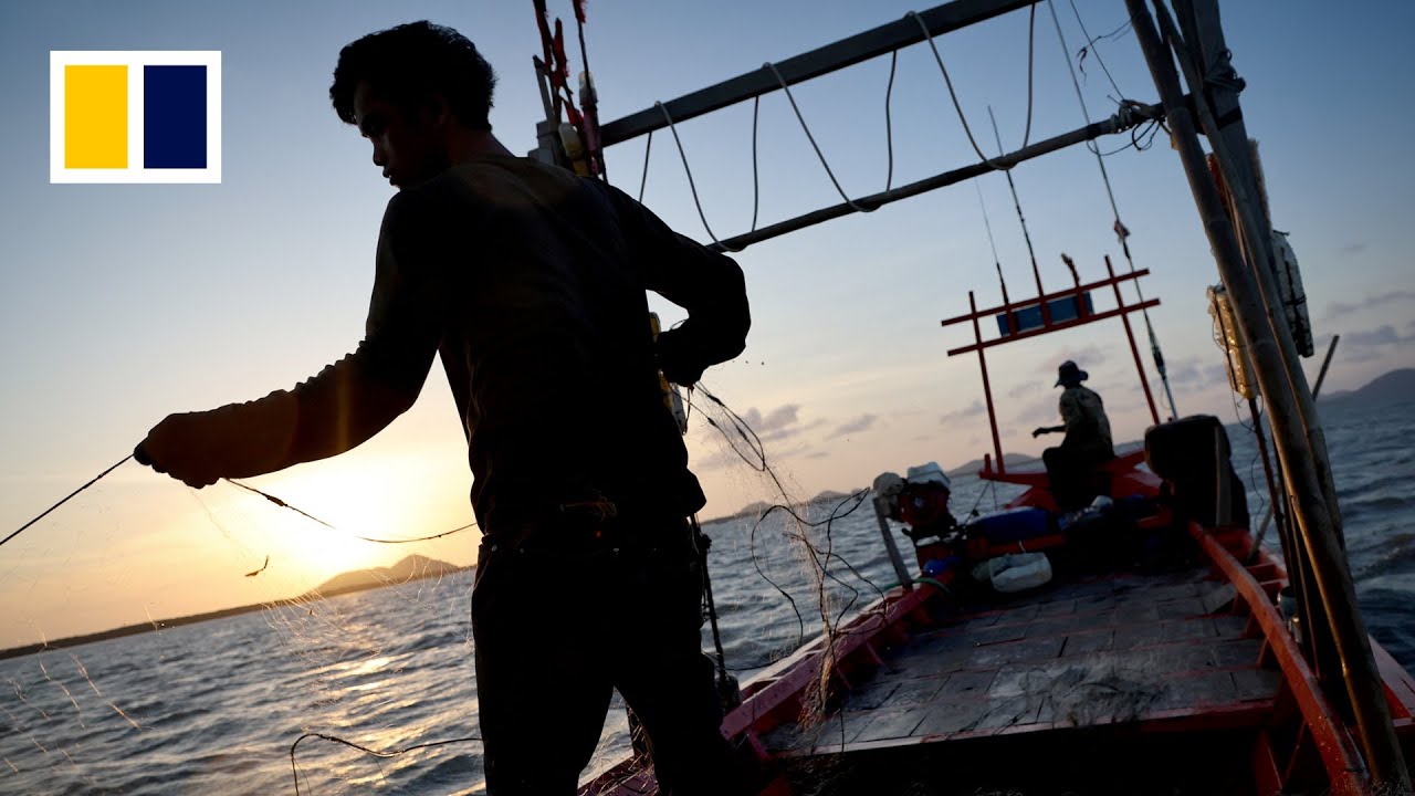How Cambodian crab fishermen are coping with dwindling numbers The