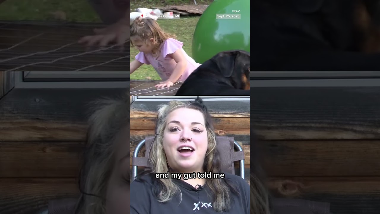 A 2-year-old girl was found safe in the woods, hours after she went ...