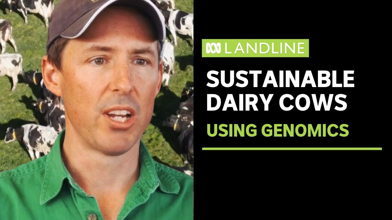Genomics creating sustainable cows | Landline | ABC News - The Global