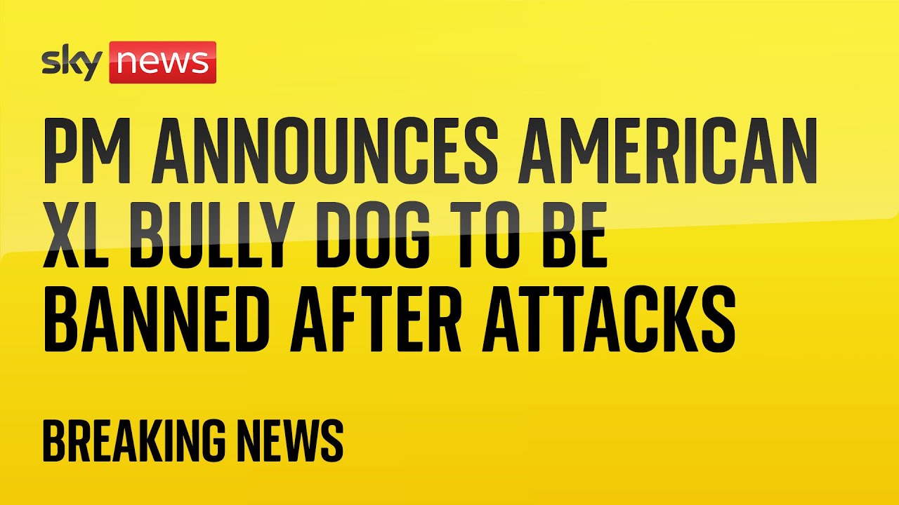 American XL bully dogs to be banned after attacks, Rishi Sunak says ...