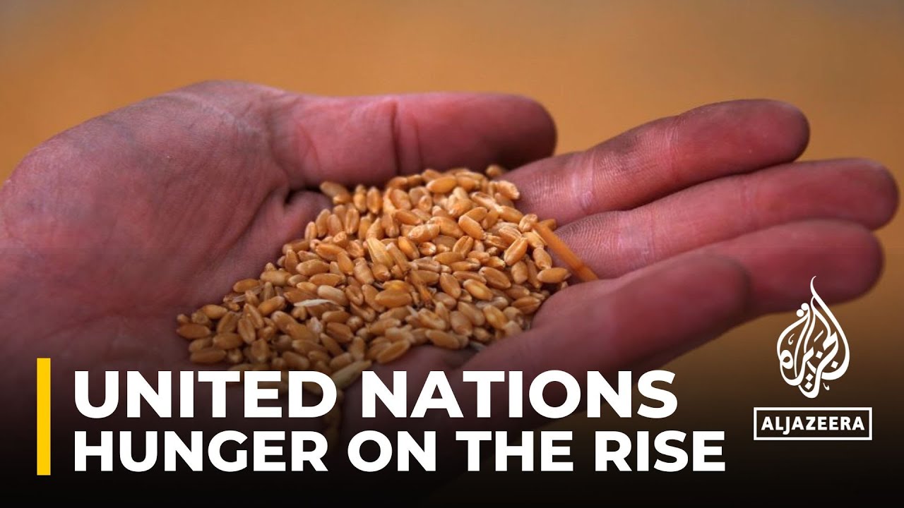 Food Security Un Says Hunger Malnutrition On The Rise The Global Food Security Un Says Hunger Malnutrition On The Rise The Global