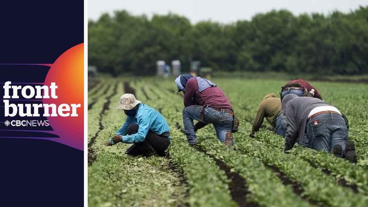 Canada’s migrant workers face modern 'slavery': UN report | Front ...