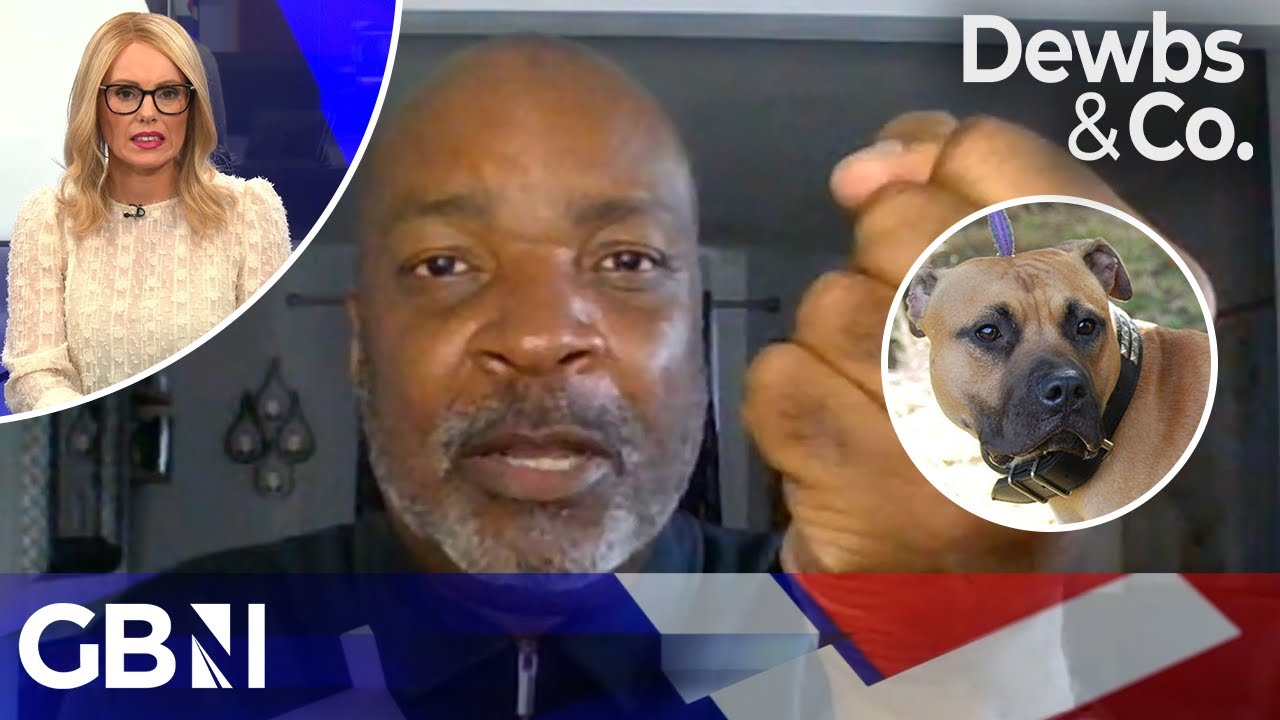 What to do in a dog attack? Canine Behavioural Trainer explains how