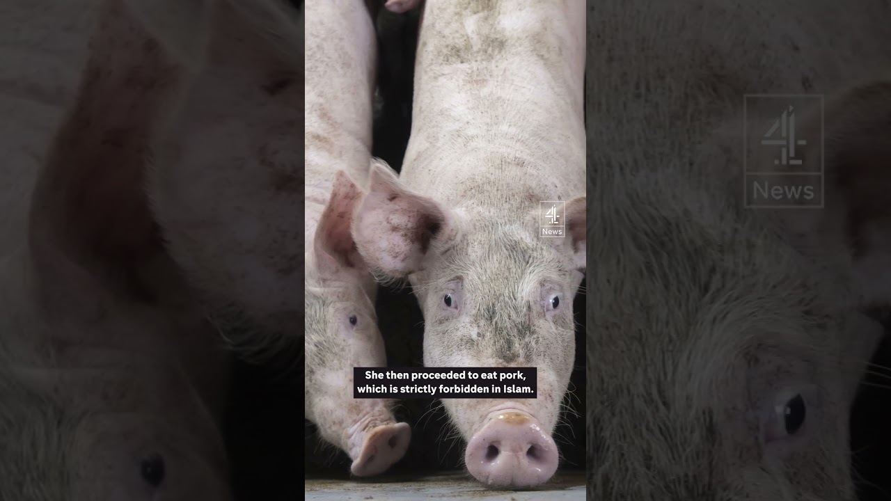 TikToker jailed after eating pork The Global Herald