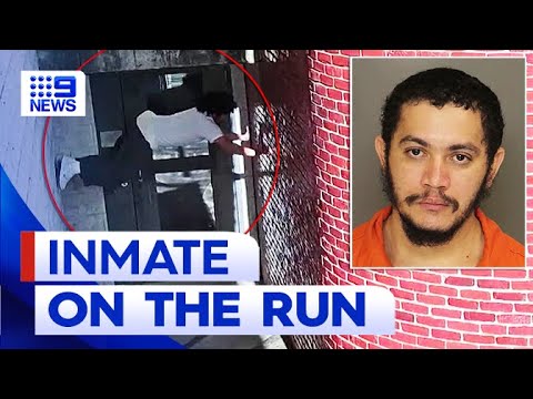 Missing My Inmate Officers scramble to find missing inmate who crab-walked out of jail ...