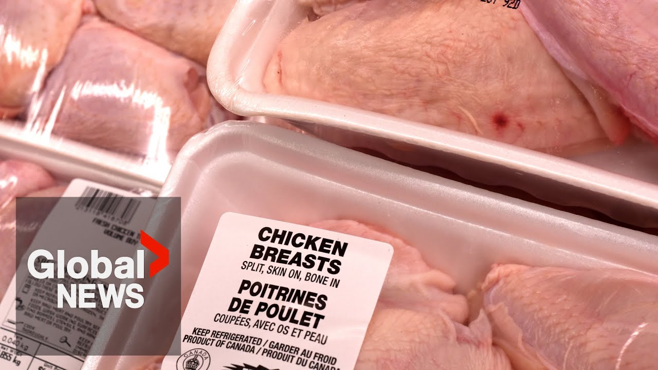 As US sees record chicken prices, economists say Canada's unlikely to